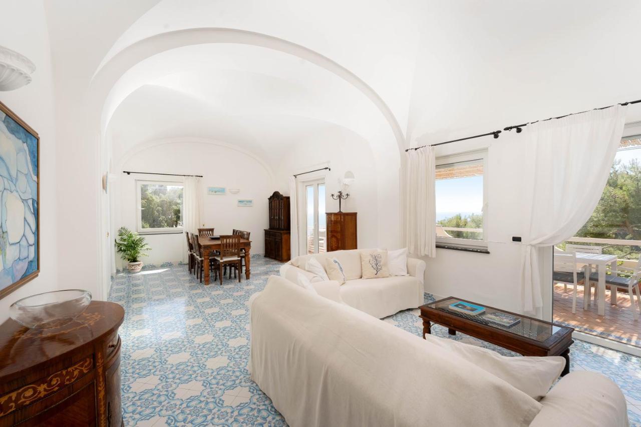 Oliveto Capri Apartments Εξωτερικό φωτογραφία