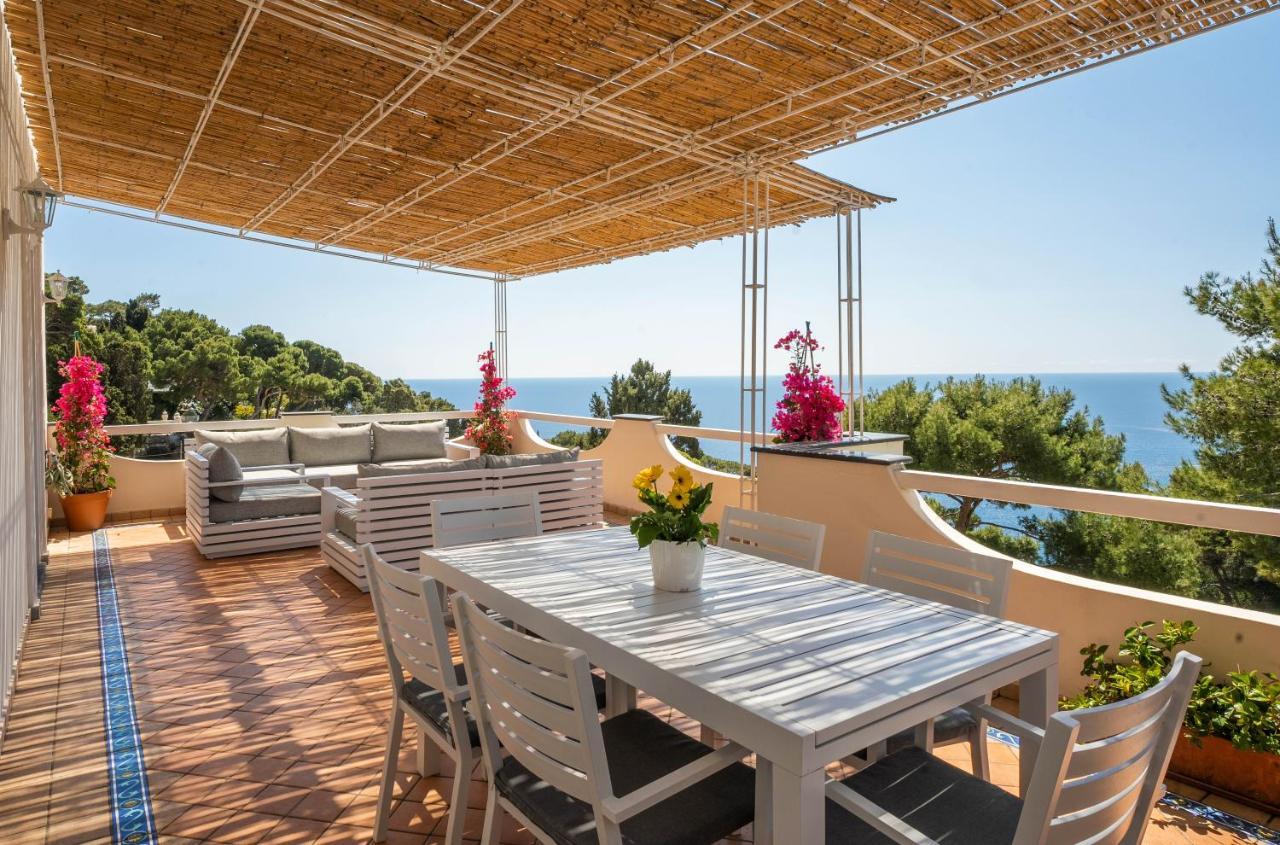 Oliveto Capri Apartments Εξωτερικό φωτογραφία