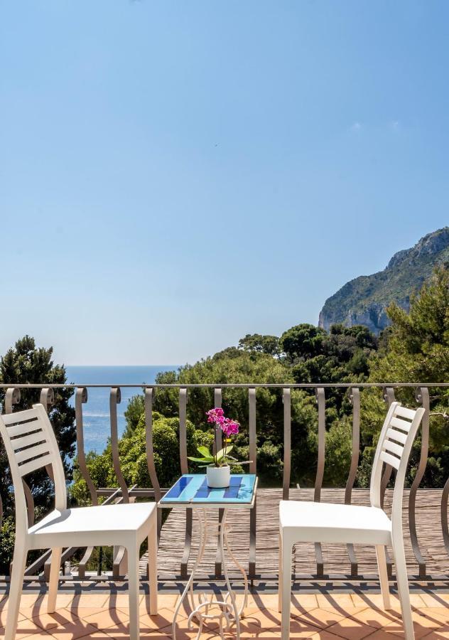 Oliveto Capri Apartments Εξωτερικό φωτογραφία