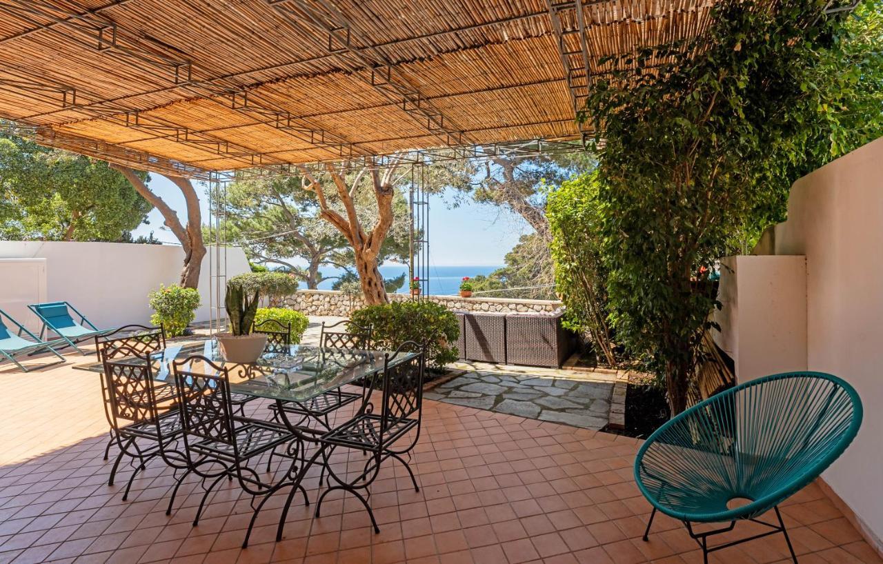 Oliveto Capri Apartments Εξωτερικό φωτογραφία