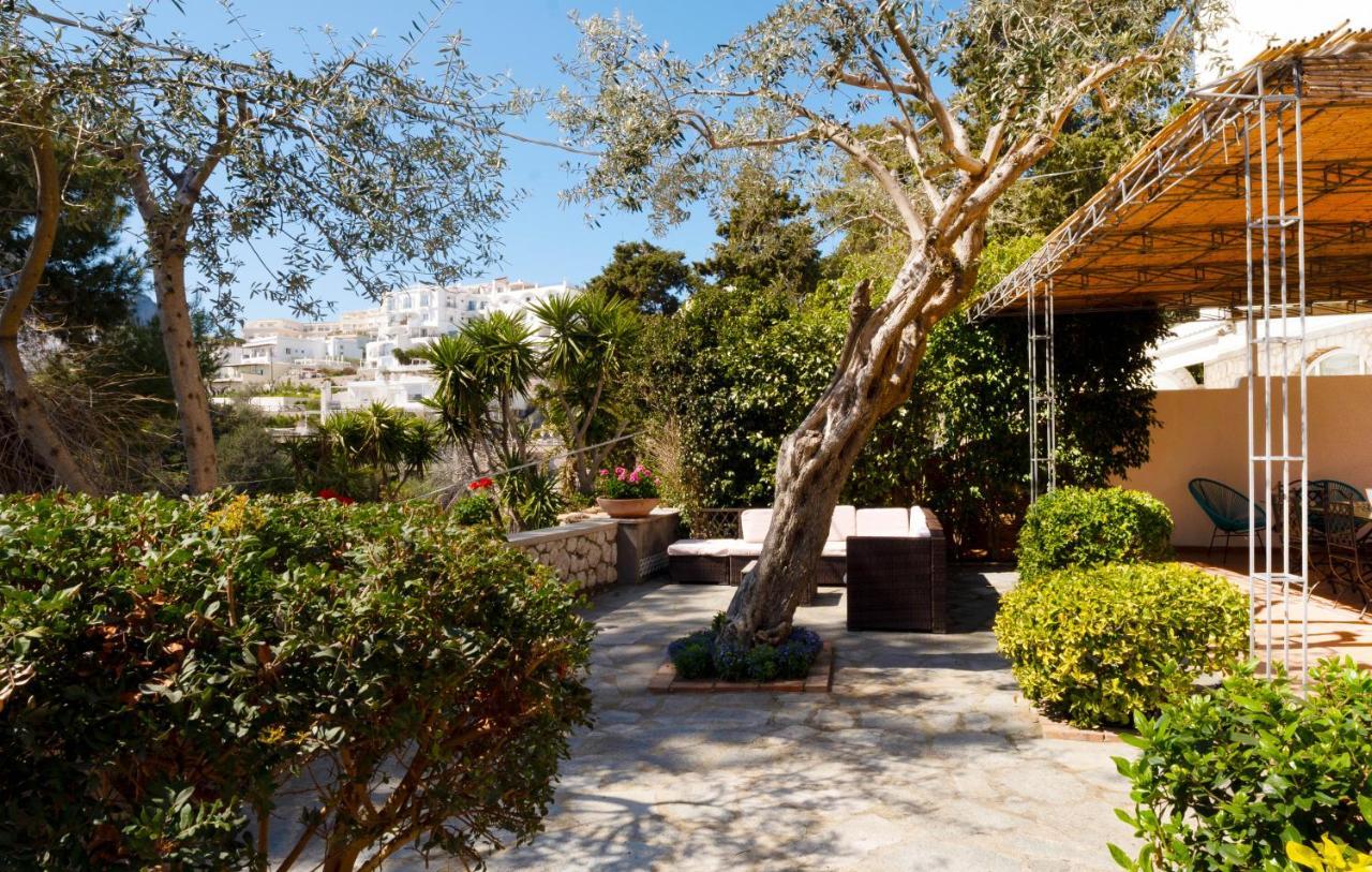 Oliveto Capri Apartments Εξωτερικό φωτογραφία